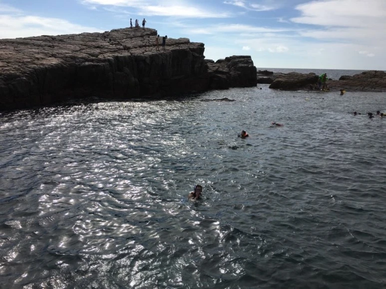 attachImage_2308974191.jpeg?type=w773