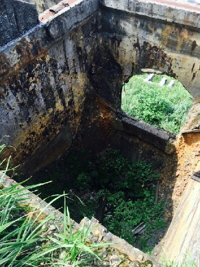 1466404616585.jpg?type=w773