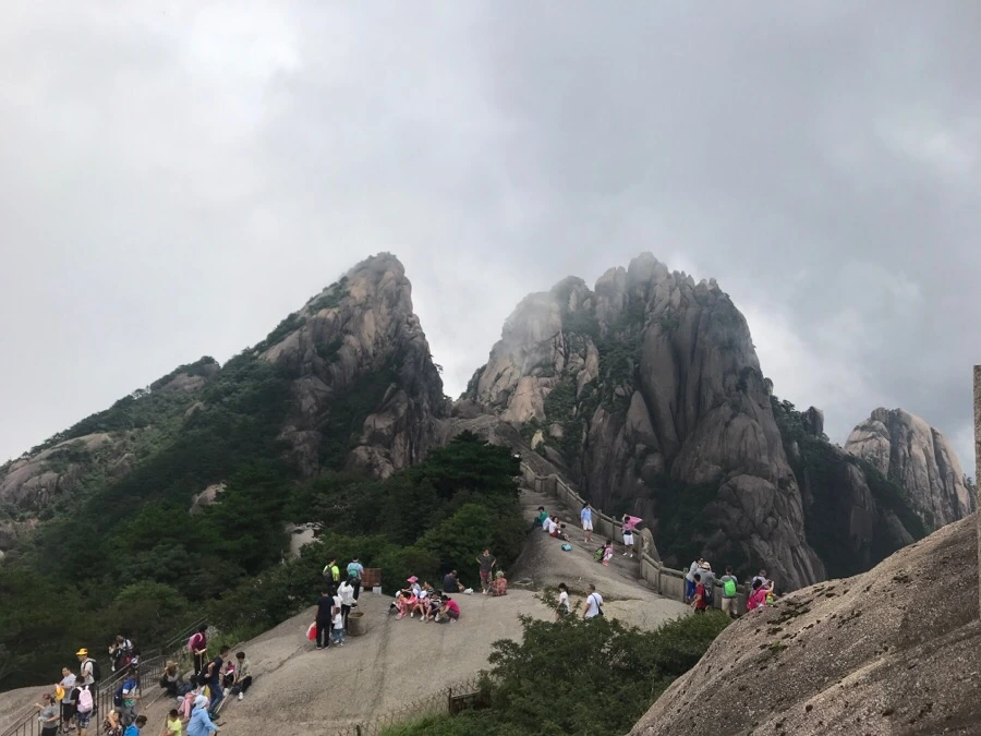 IMG_0797.jpg?type=w966