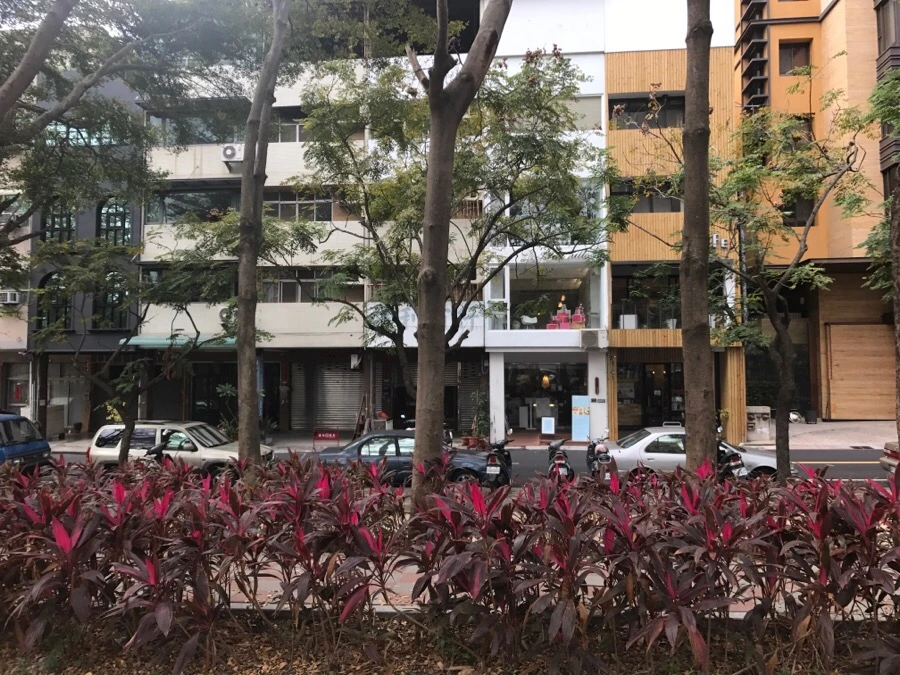 IMG_0336.jpg?type=w966