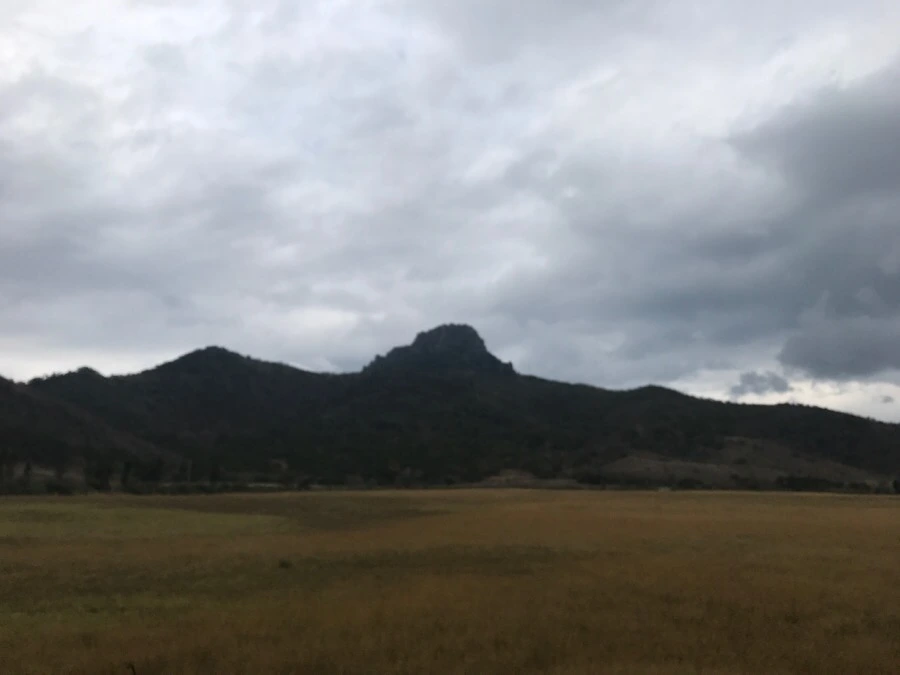 IMG_3254.jpg?type=w966