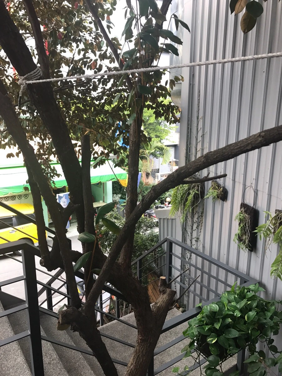 IMG_0370.jpg?type=w966