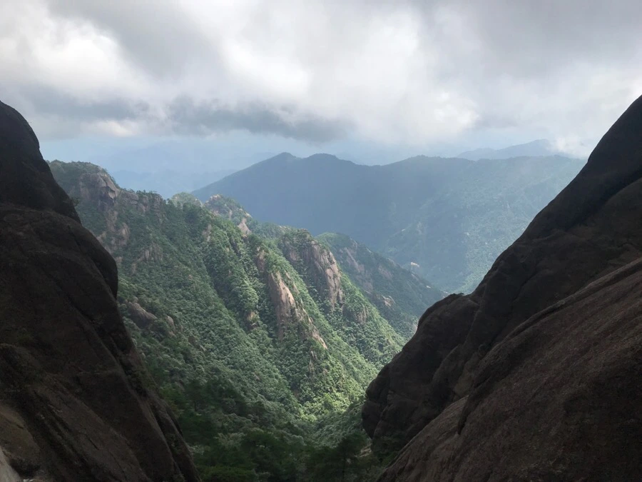 IMG_0833.jpg?type=w966