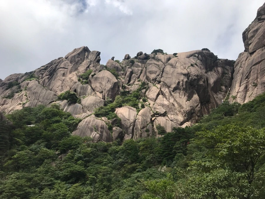 IMG_0843.jpg?type=w966