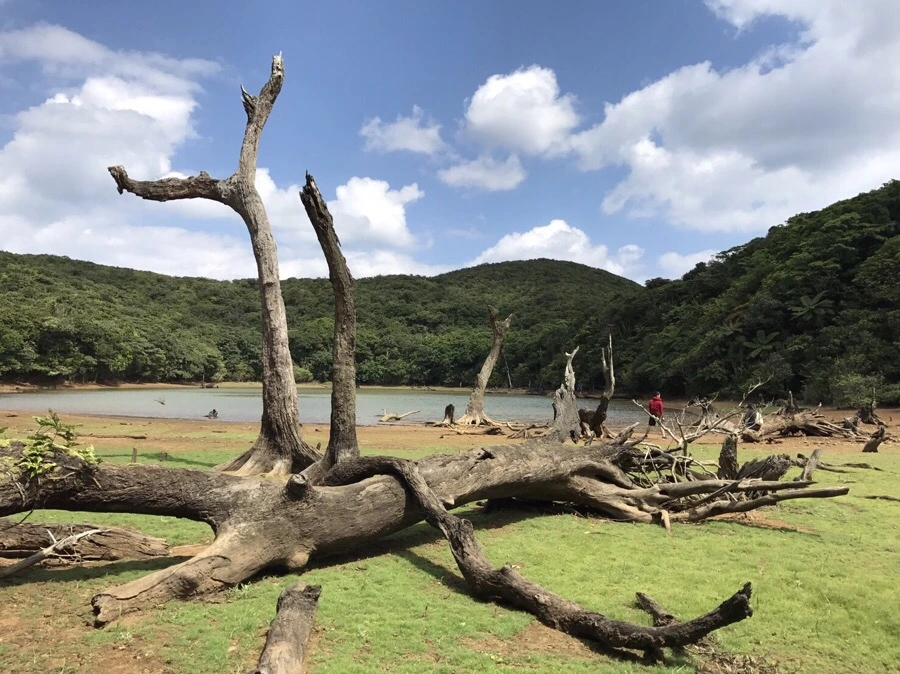 IMG_4035.jpg?type=w966