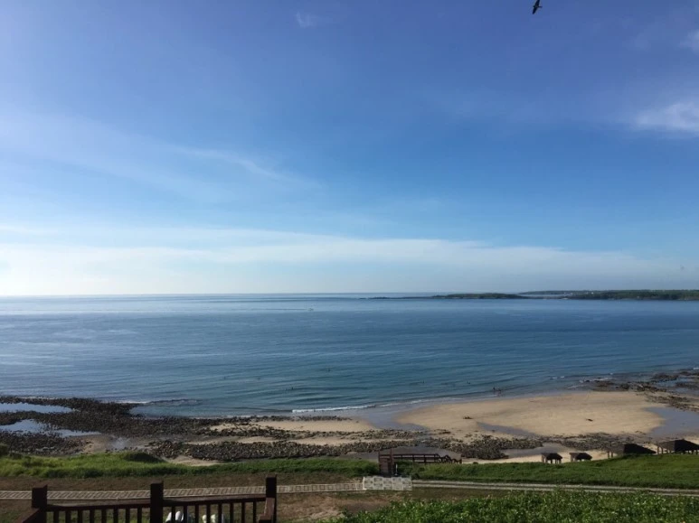 attachImage_2136579035.jpeg?type=w773