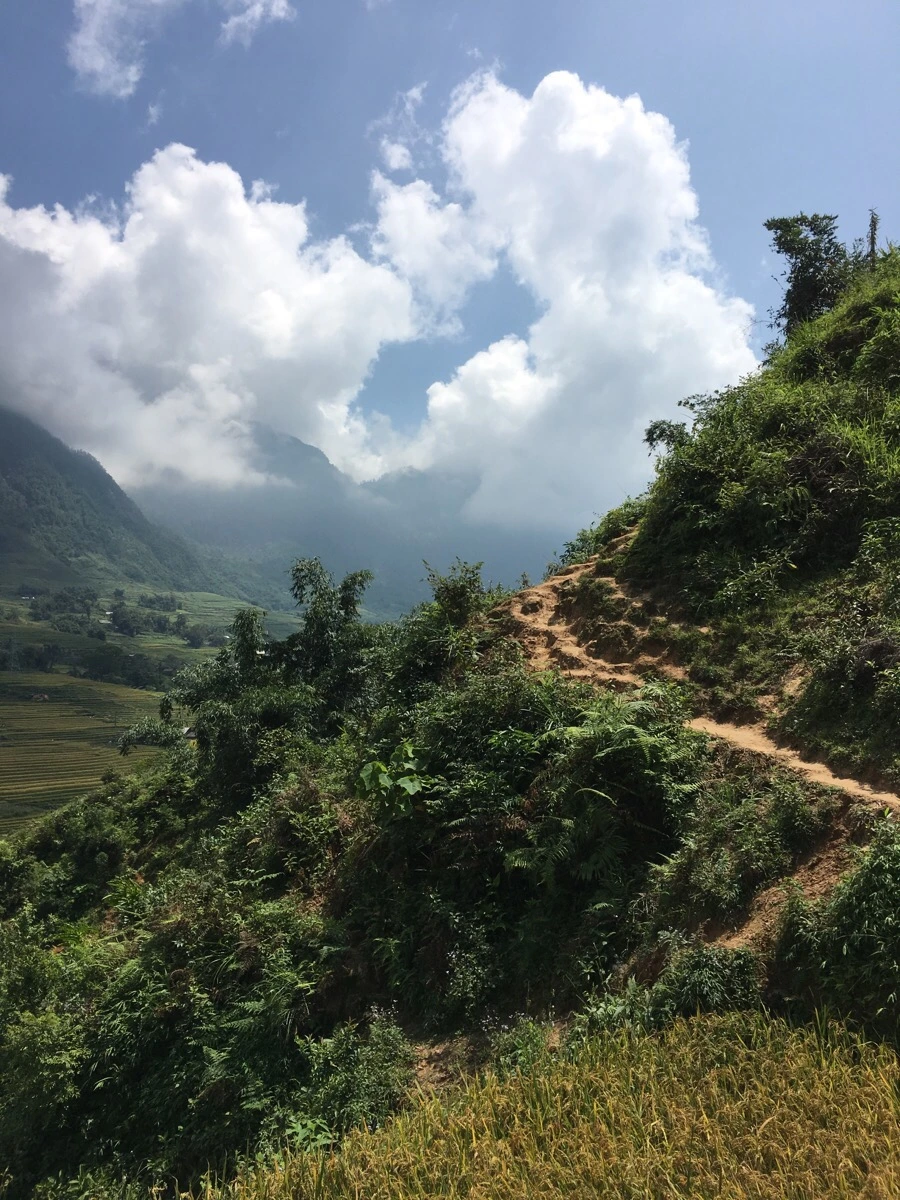 IMG_3556.JPG?type=w1