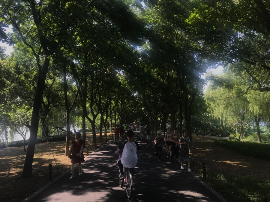 IMG_1164.jpg?type=w1