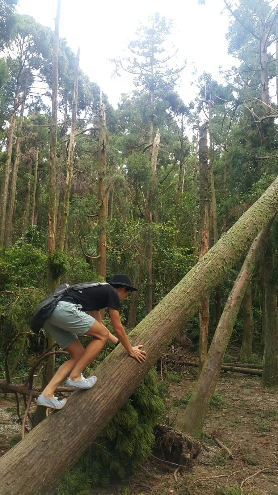 IMG_4252.JPG?type=w966