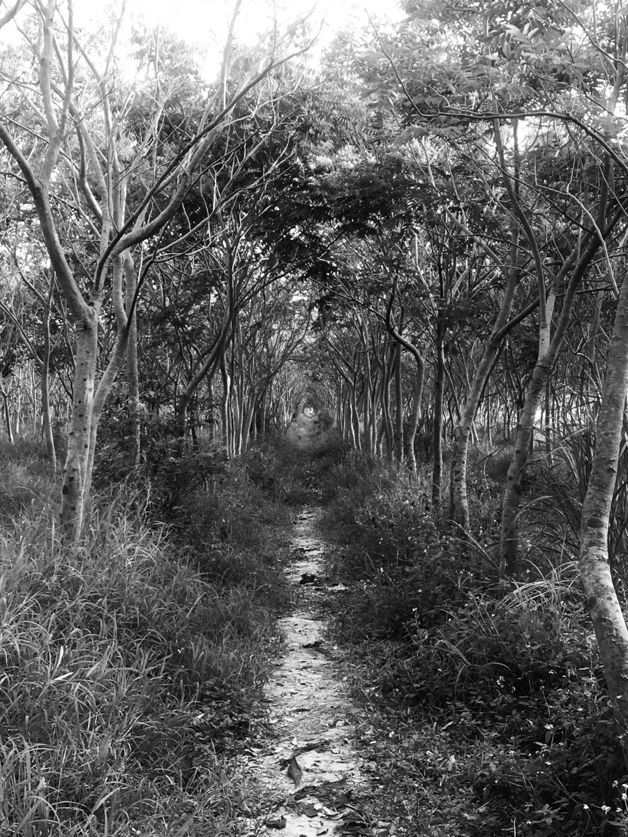 IMG_3277.jpg?type=w966