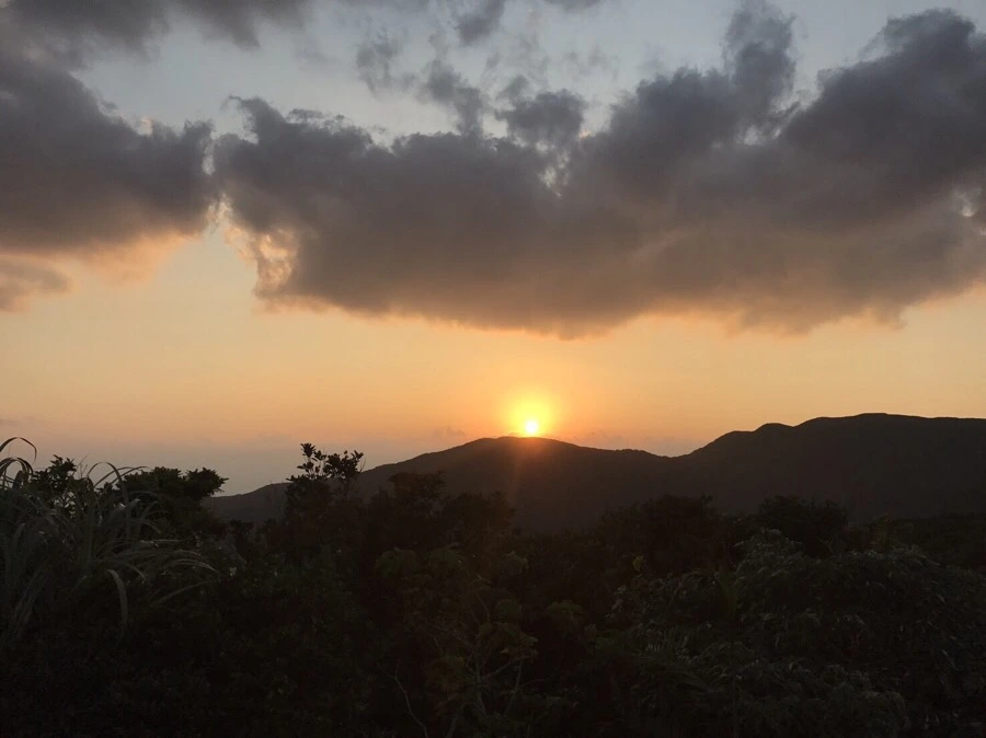 IMG_3985.jpg?type=w966