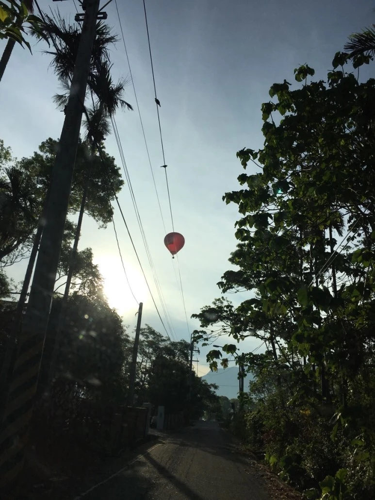 attachImage_3378762823.jpeg?type=w773