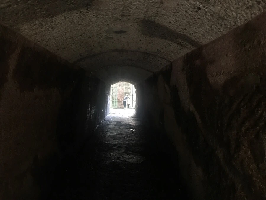 IMG_0891.jpg?type=w966