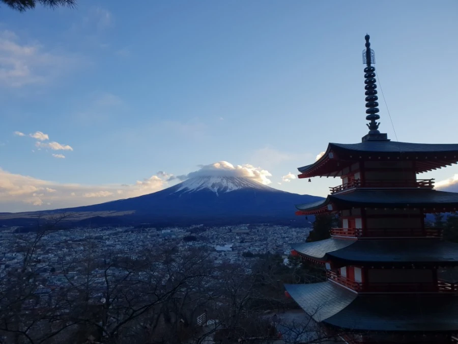 20190126_164147.jpg?type=w1