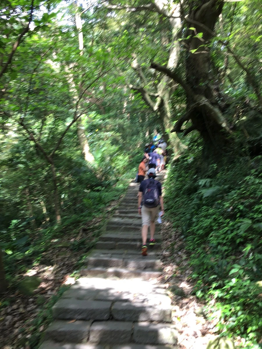 IMG_4718.JPG?type=w966