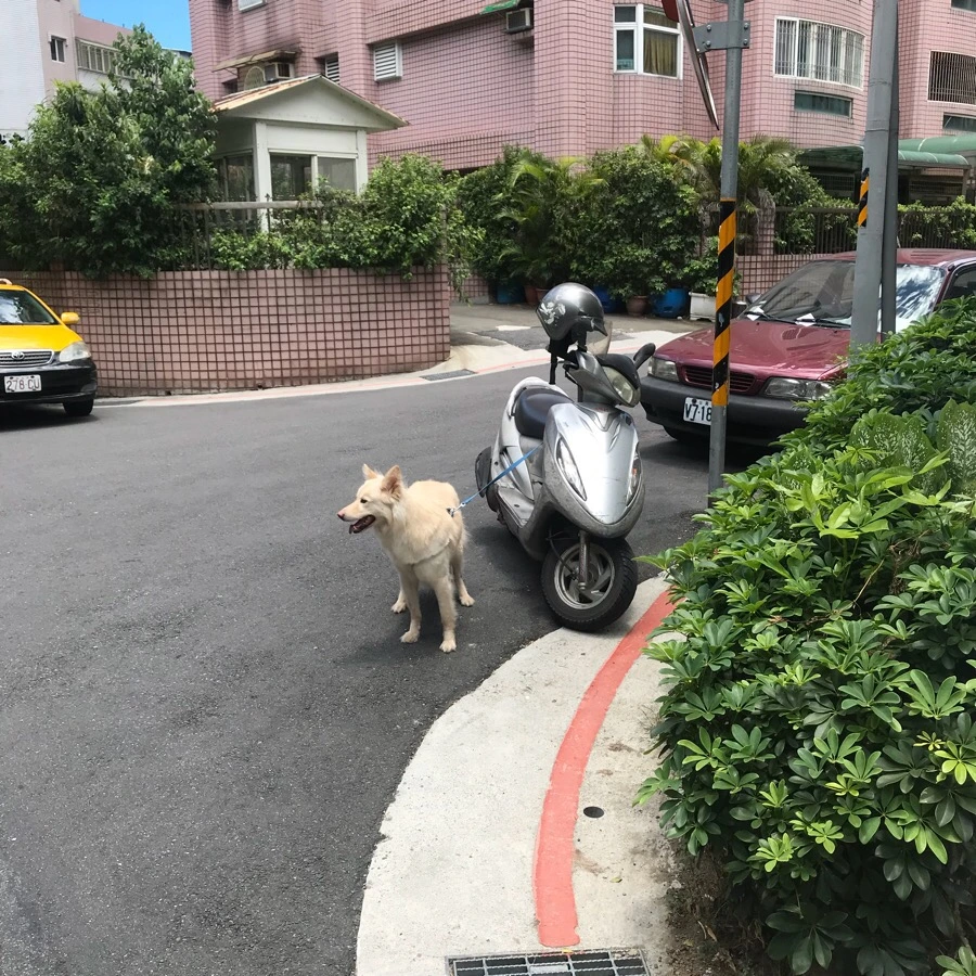 IMG_9898.jpg?type=w966