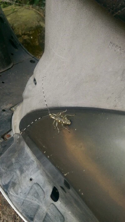 IMAG5996.jpg?type=w773