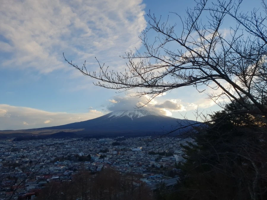 20190126_163206.jpg?type=w1