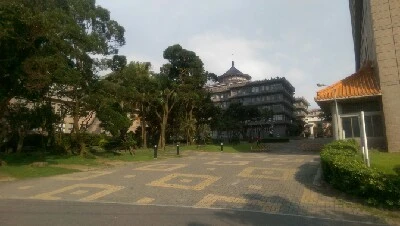 IMAG5990.jpg?type=w773