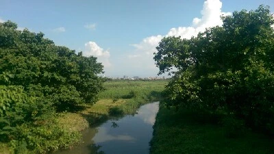 IMAG6215.jpg?type=w773