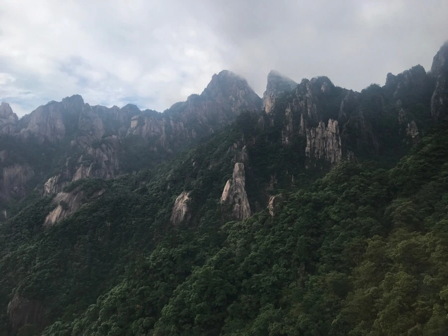 IMG_0706.jpg?type=w966