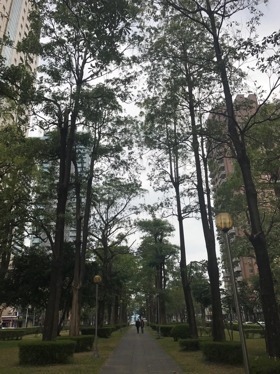 IMG_0285.jpg?type=w966