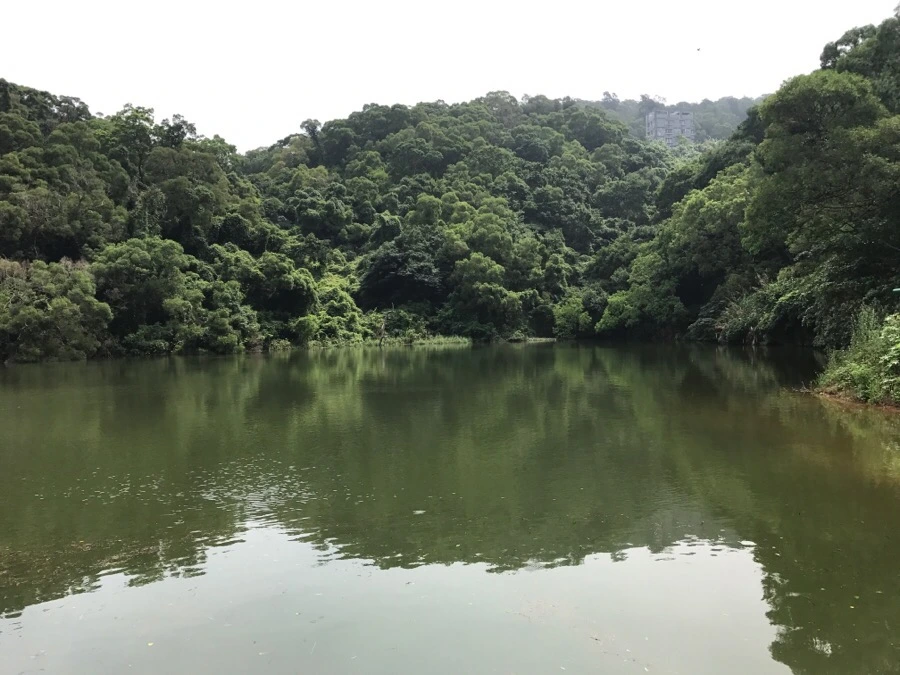 IMG_8364.jpg?type=w966