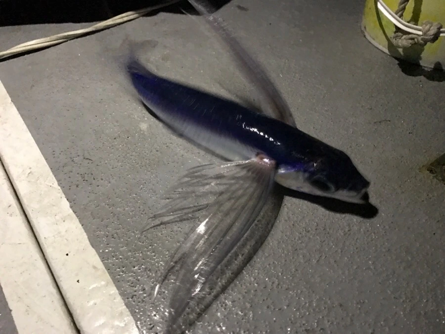 IMG_3823.jpg?type=w966