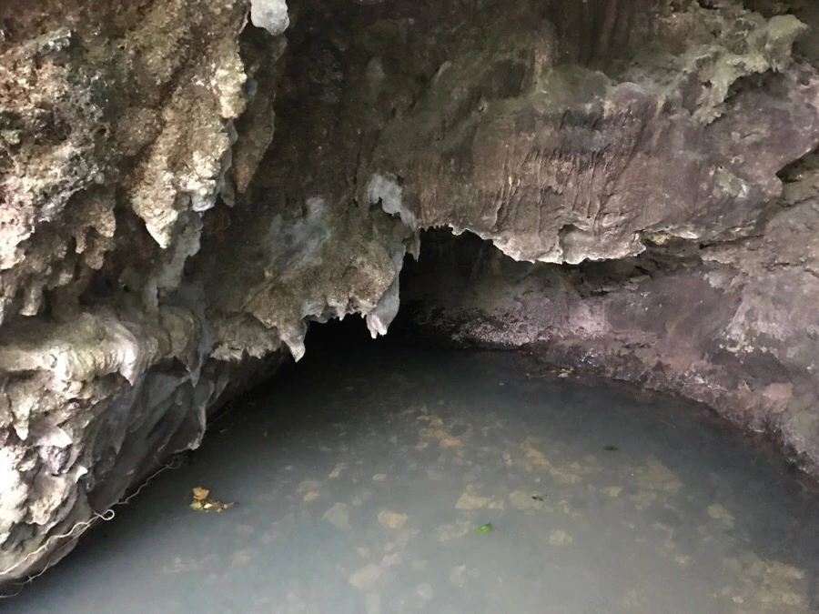 IMG_1631.jpg?type=w966