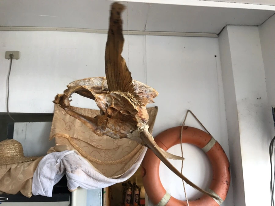 IMG_3443.jpg?type=w966