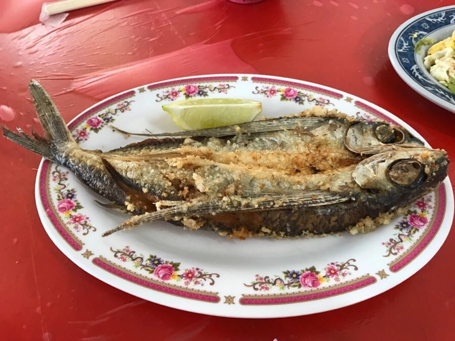 IMG_1774.jpg?type=w966