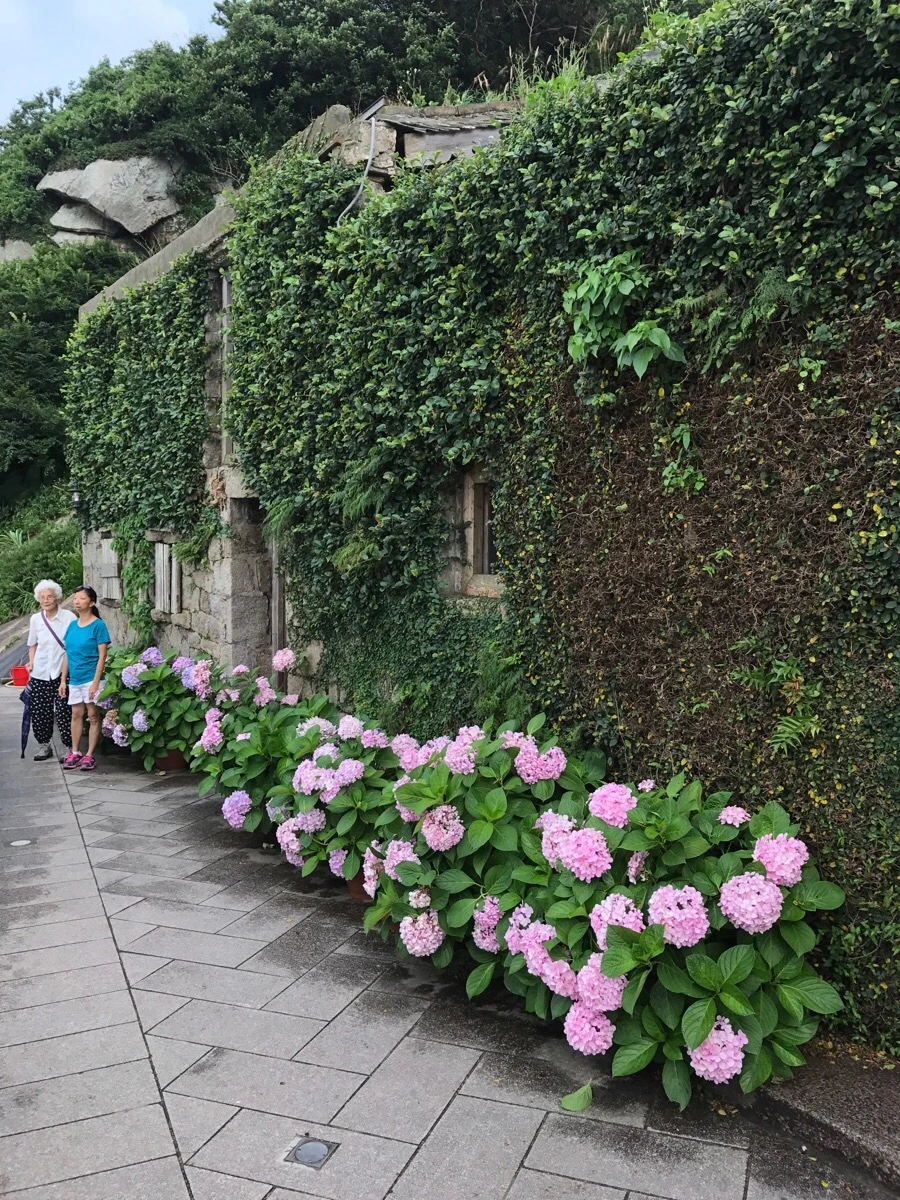 IMG_8519.jpg?type=w966