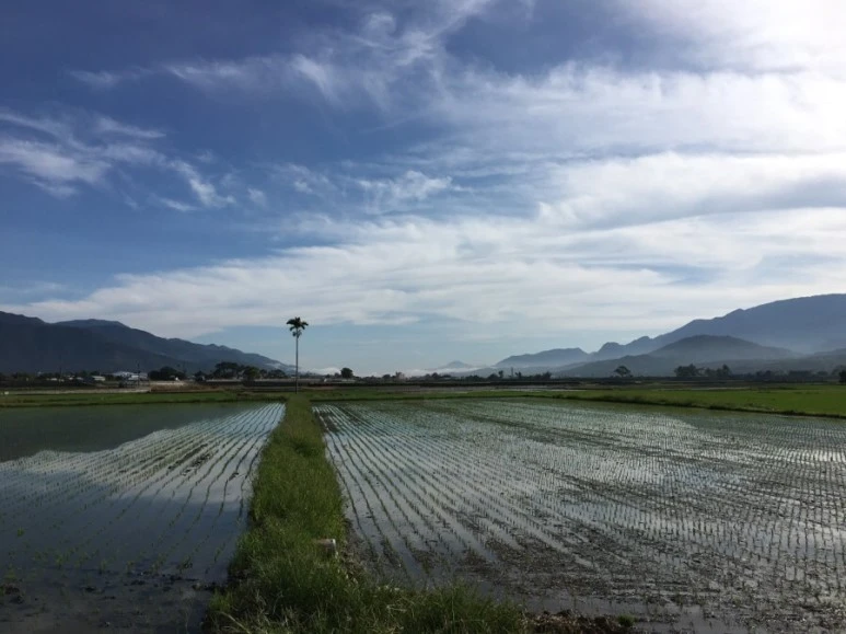 attachImage_196513772.jpeg?type=w773