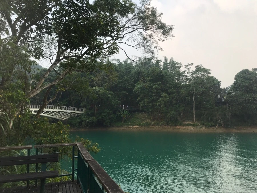 IMG_3065.jpg?type=w966