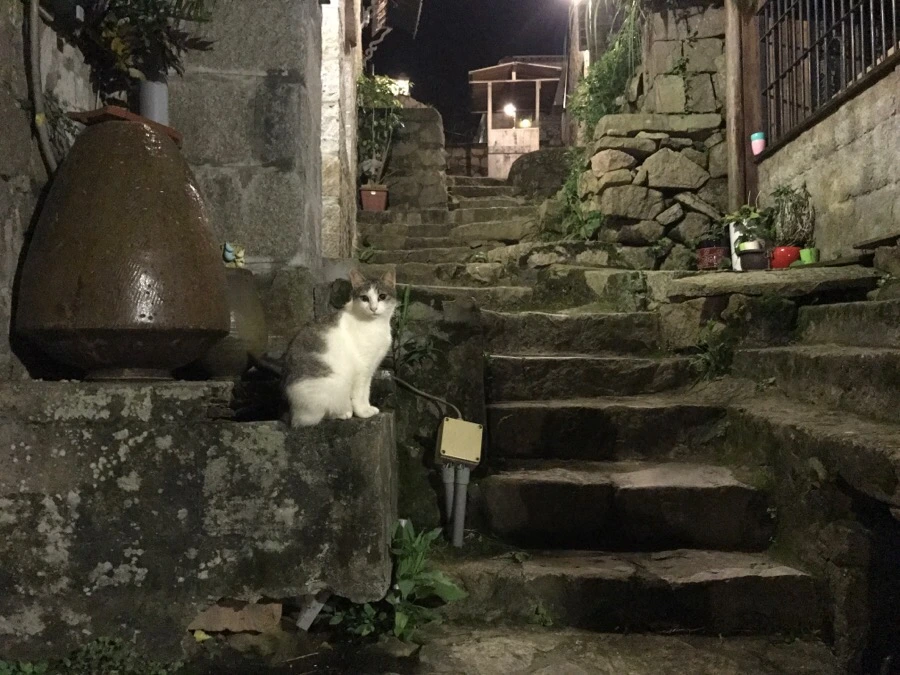 IMG_8676.jpg?type=w966