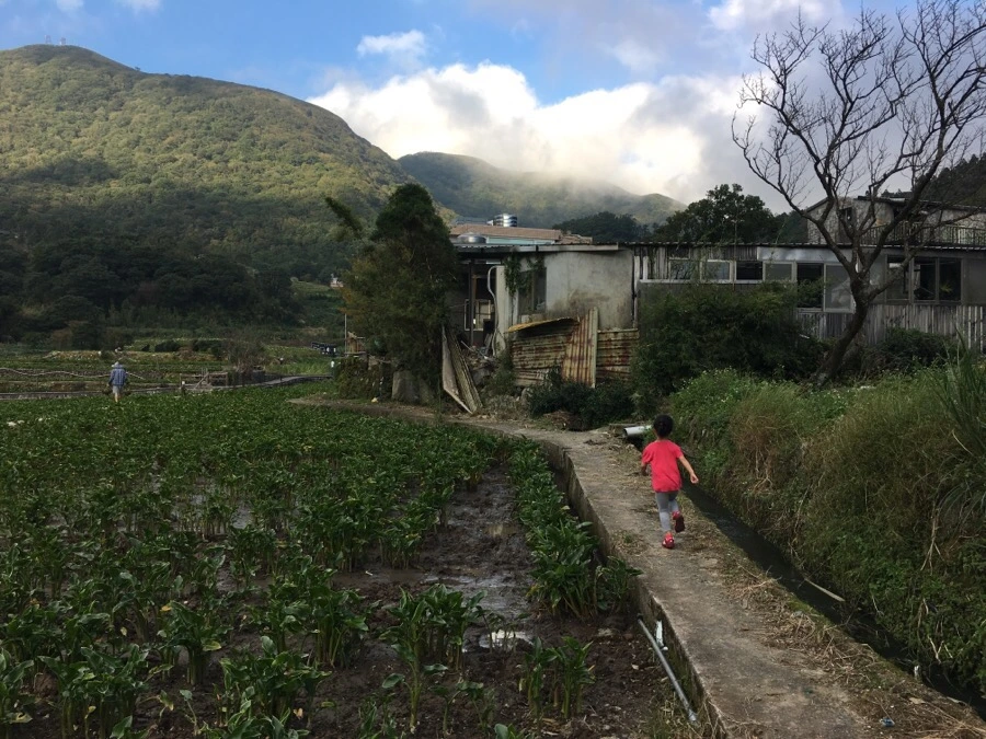 IMG_5361.JPG?type=w966