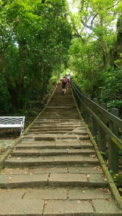 IMAG5133.jpg?type=w773