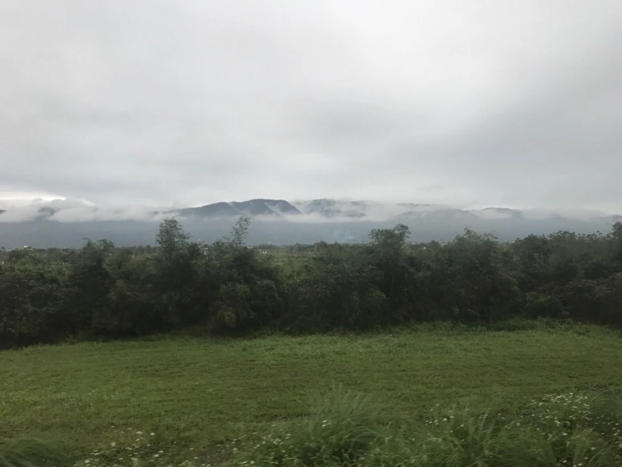 IMG_1346.jpg?type=w966