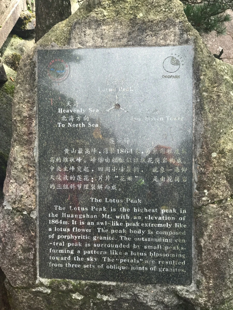 IMG_0870.jpg?type=w966