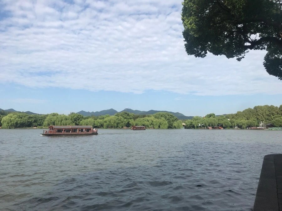 IMG_1102.jpg?type=w966