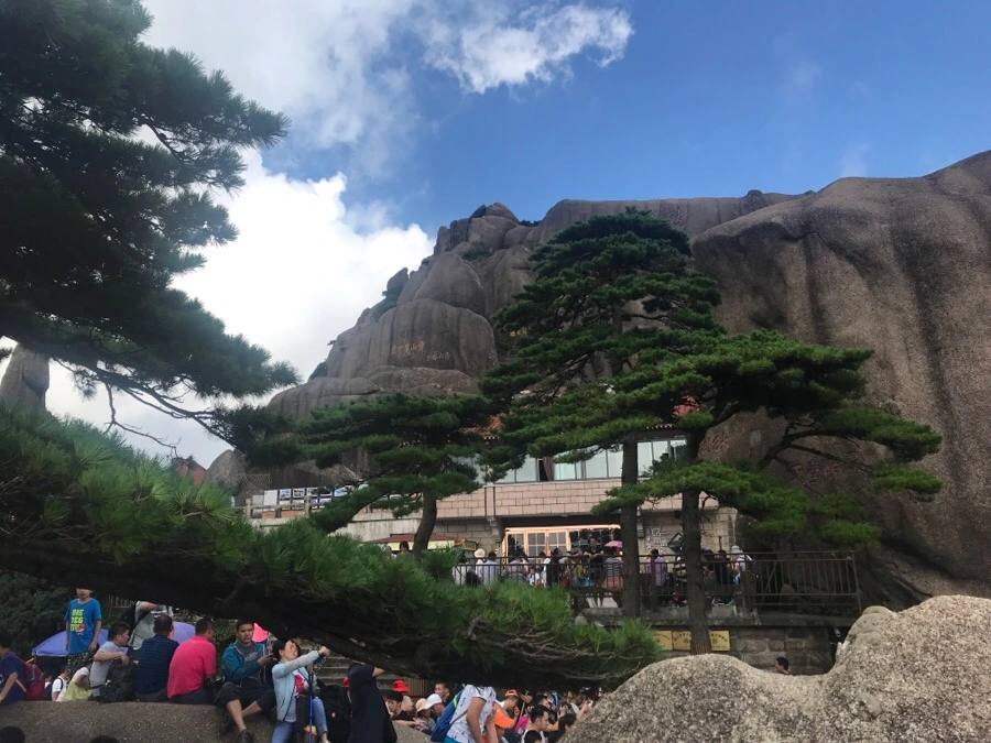 IMG_0921.jpg?type=w966