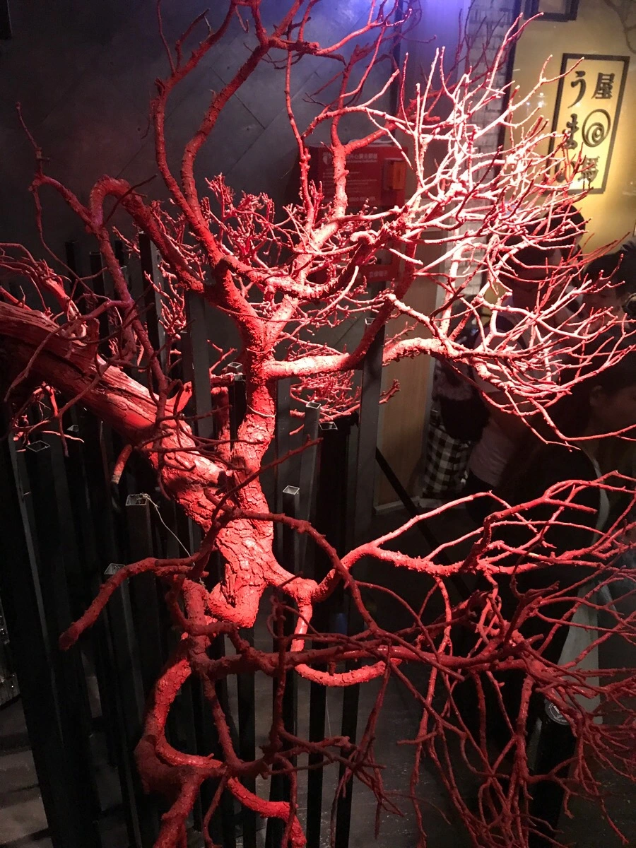 IMG_2875.jpg?type=w966