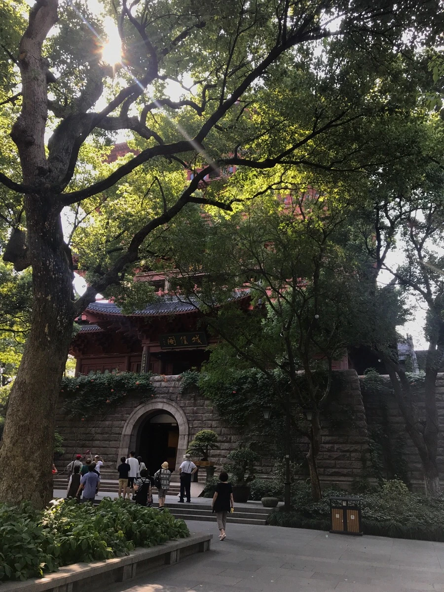 IMG_1277.jpg?type=w1