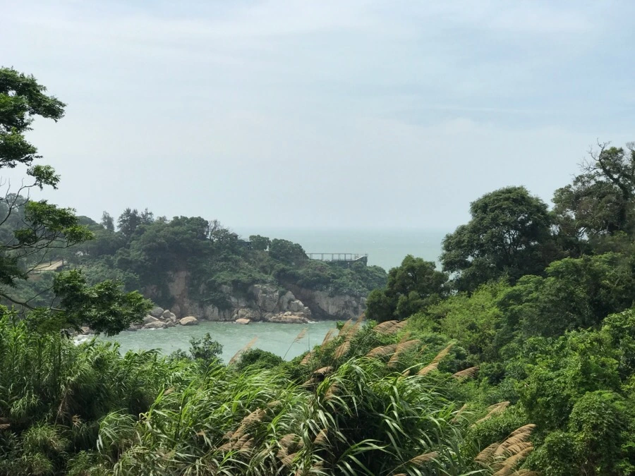 IMG_8355.jpg?type=w966