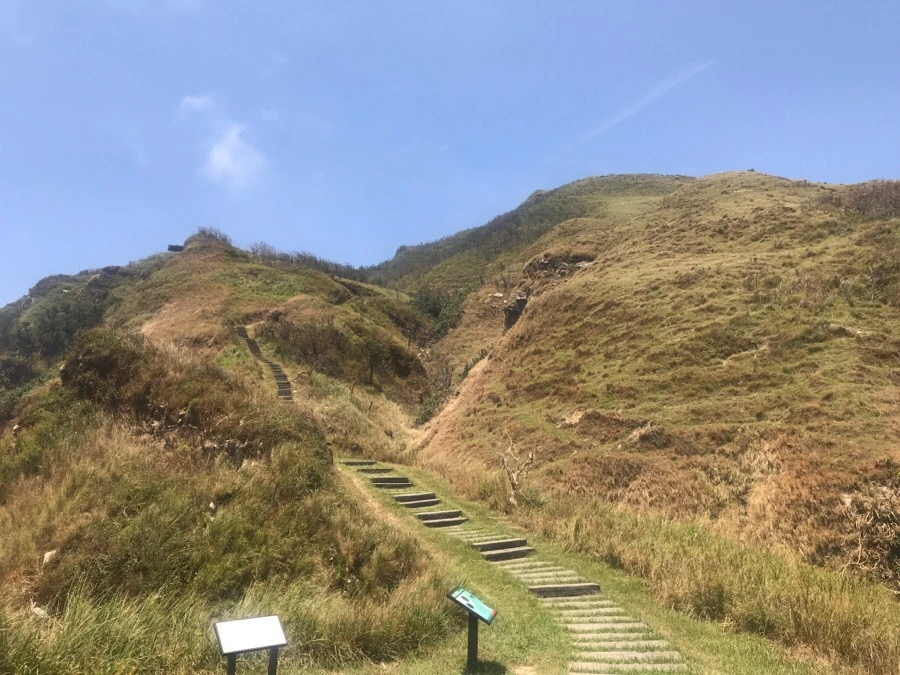 IMG_0121.jpg?type=w966