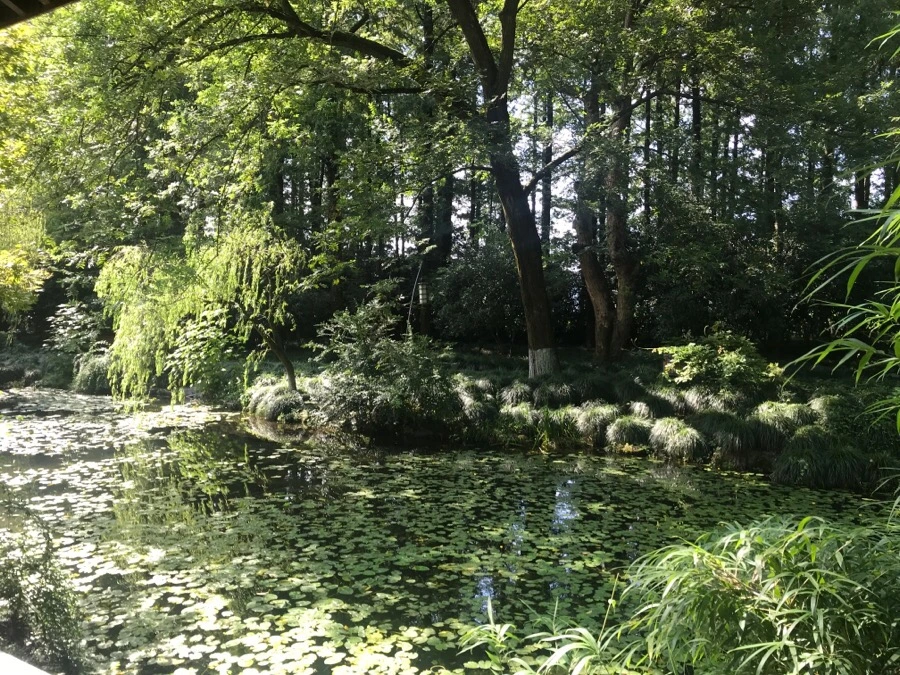 IMG_1158.jpg?type=w1