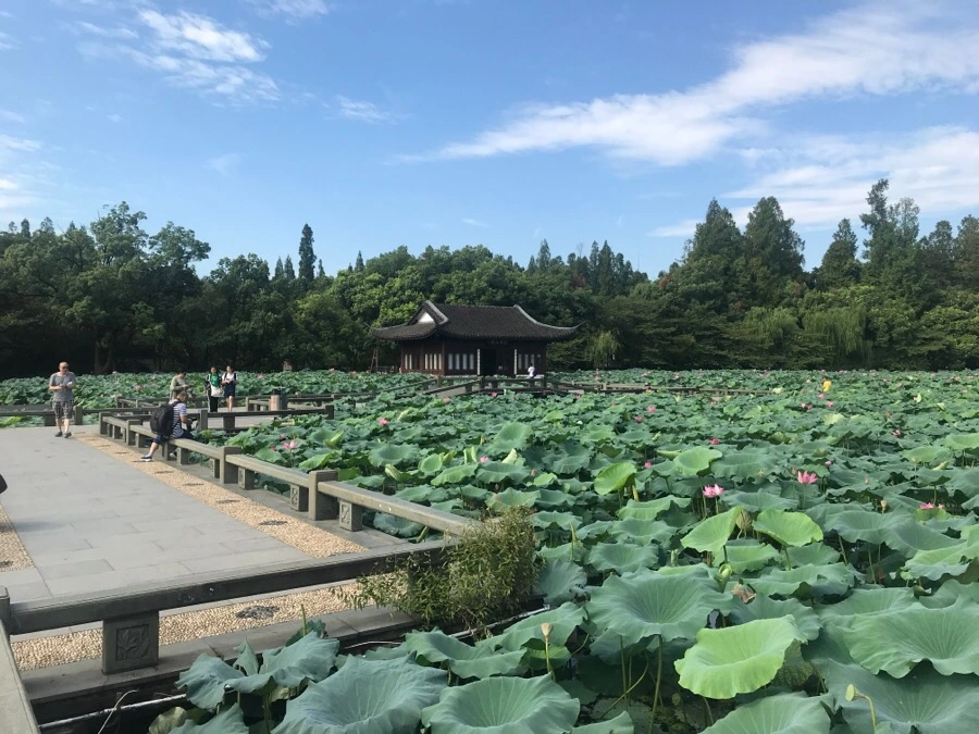 IMG_1148.jpg?type=w1