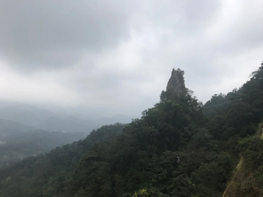 IMG_1046.jpg?type=w966