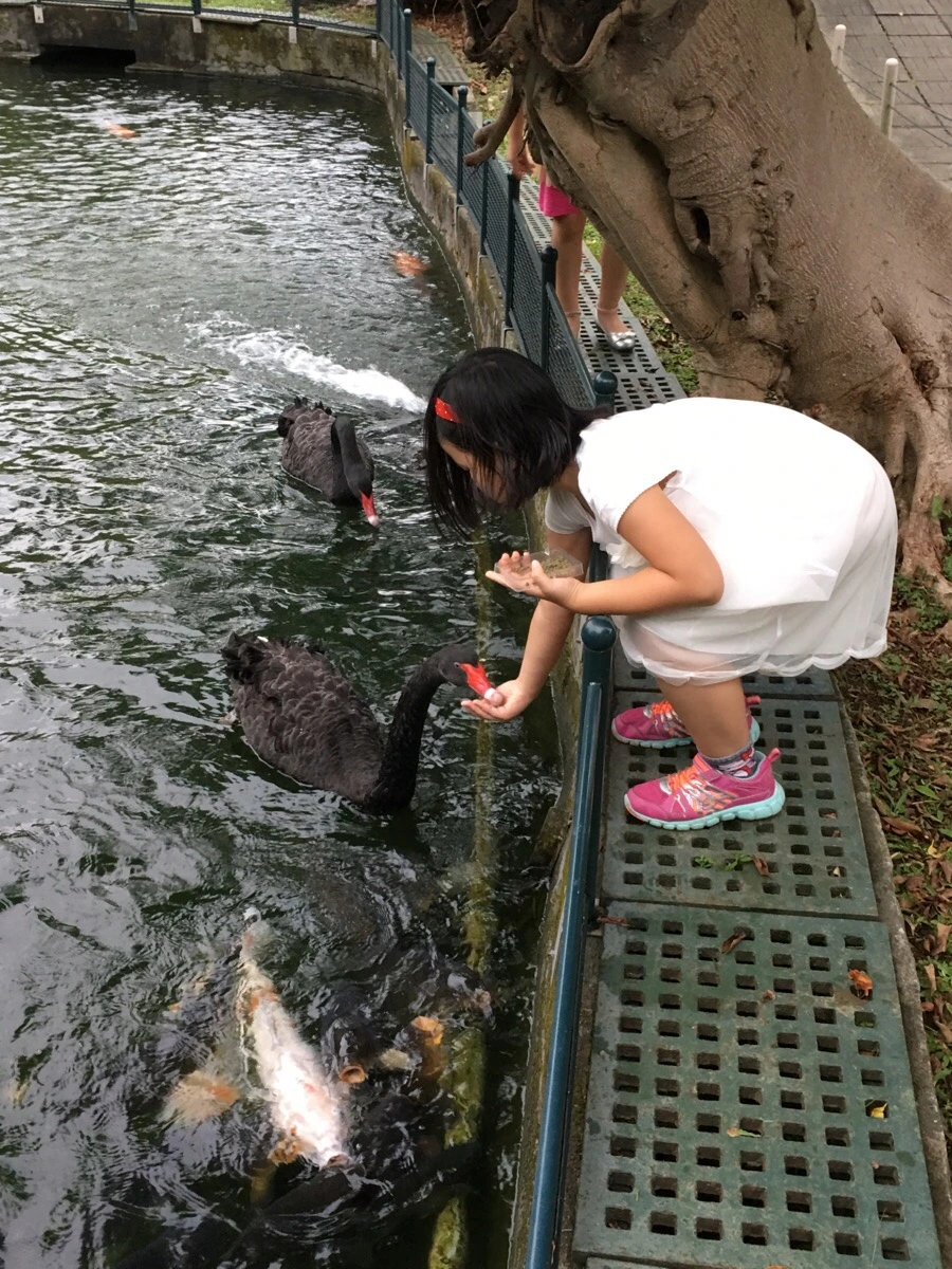 attachImage_3482942686.jpeg?type=w966