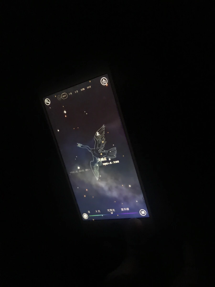 IMG_8886.jpg?type=w966